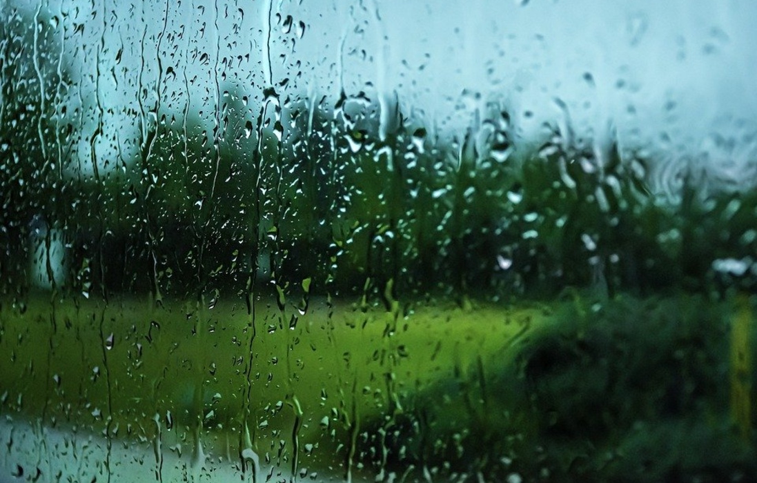 В Курской области завтра ожидаются дожди, грозы и 31 градус тепла